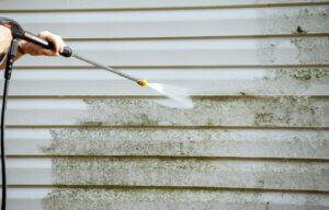 removing of mold and mildew
